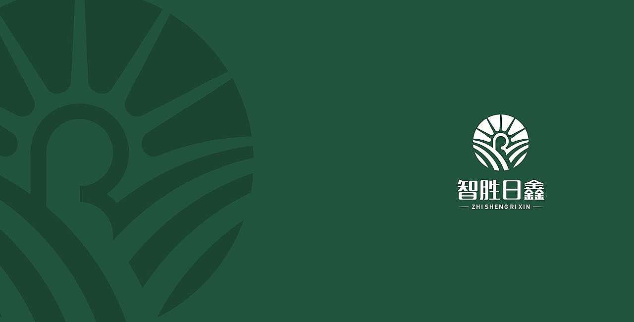 珠海市智胜日鑫健康产业科技有限公司品牌设计