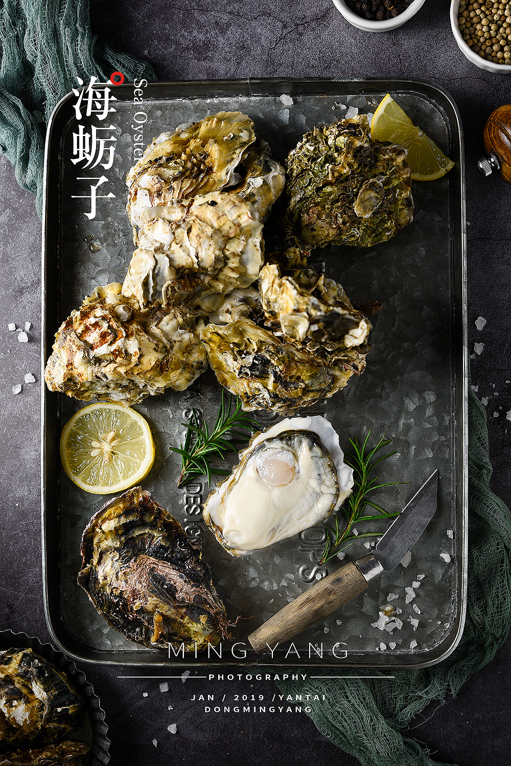 海蛎子/生蚝拍摄