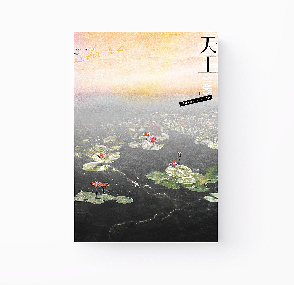 《天王》书籍设计/ 2022 DESIGN