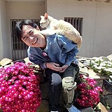 猫睡着了的头像