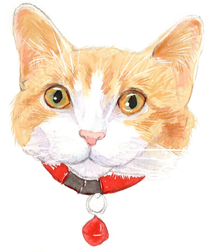 猫猫头合集（图ZMTg3NzQ4Njc2） - 艺术插画 - 站酷设计师deliadian原创素材 - 站酷ZCOOL