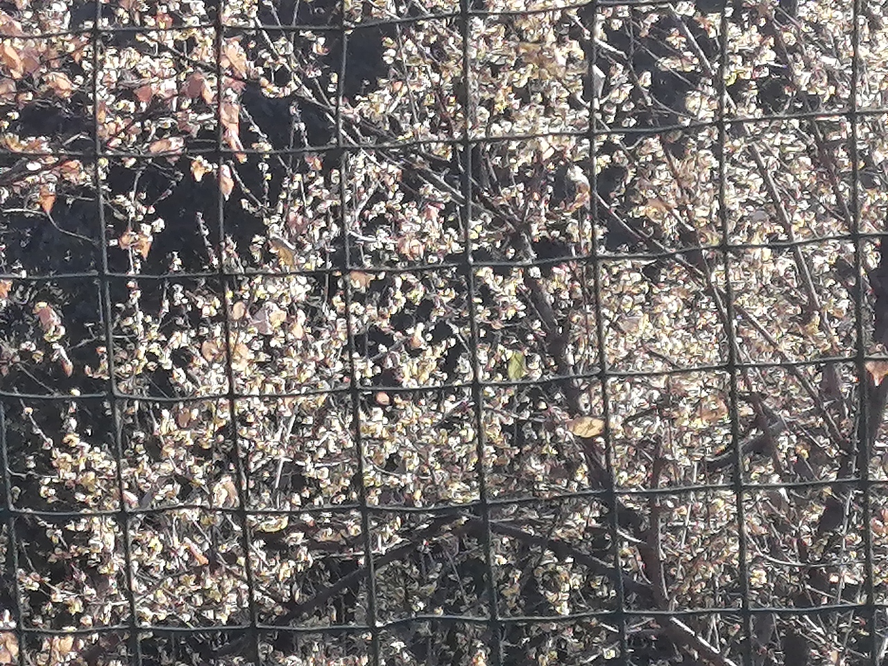 境源己造,相由心生