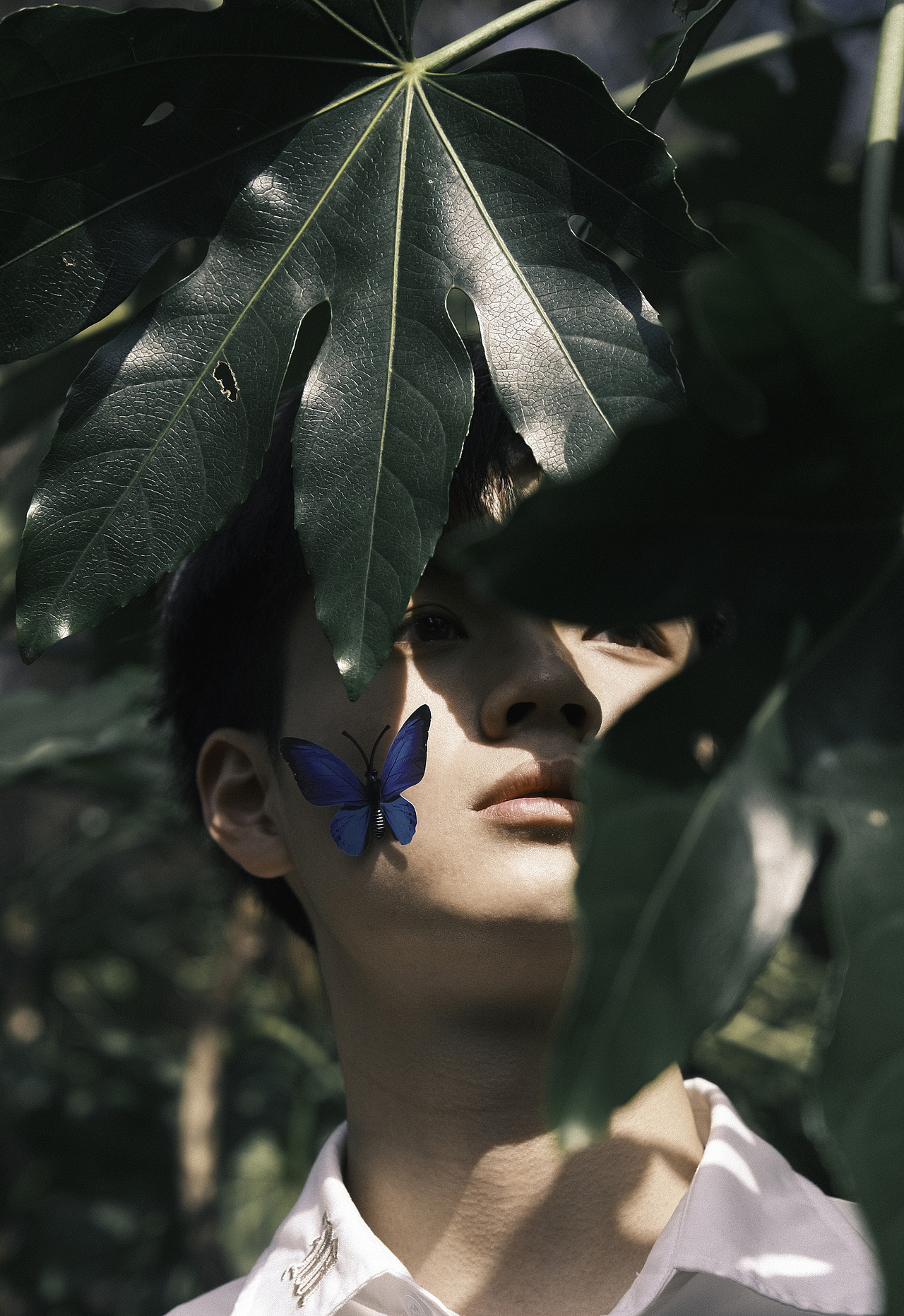 DK少年（图ZMjkxNjAyMDgw） - 人像摄影 - 站酷设计师糖水小施原创素材 - 站酷ZCOOL