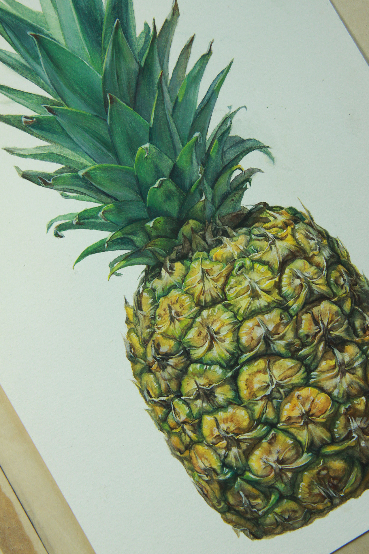 写实水彩插画菠萝这次步骤图绝对详细了