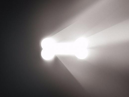 关于狗粮的发展史海报