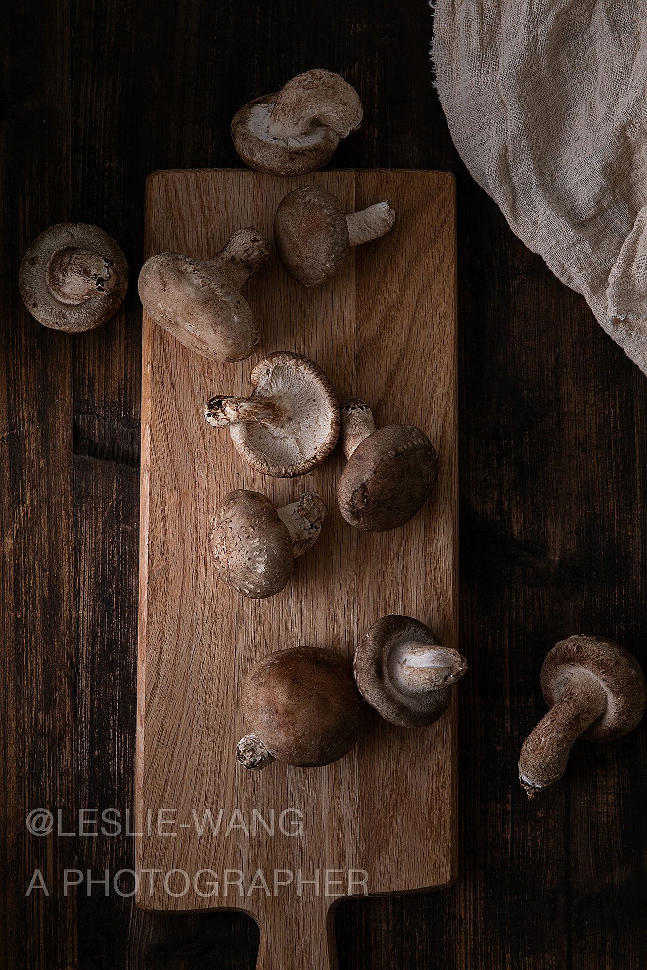 菌 THE MUSHROOM（图ZMTM4NTM3NDc2） - 产品摄影 - 站酷设计师来四粒WANG原创素材 - 站酷ZCOOL