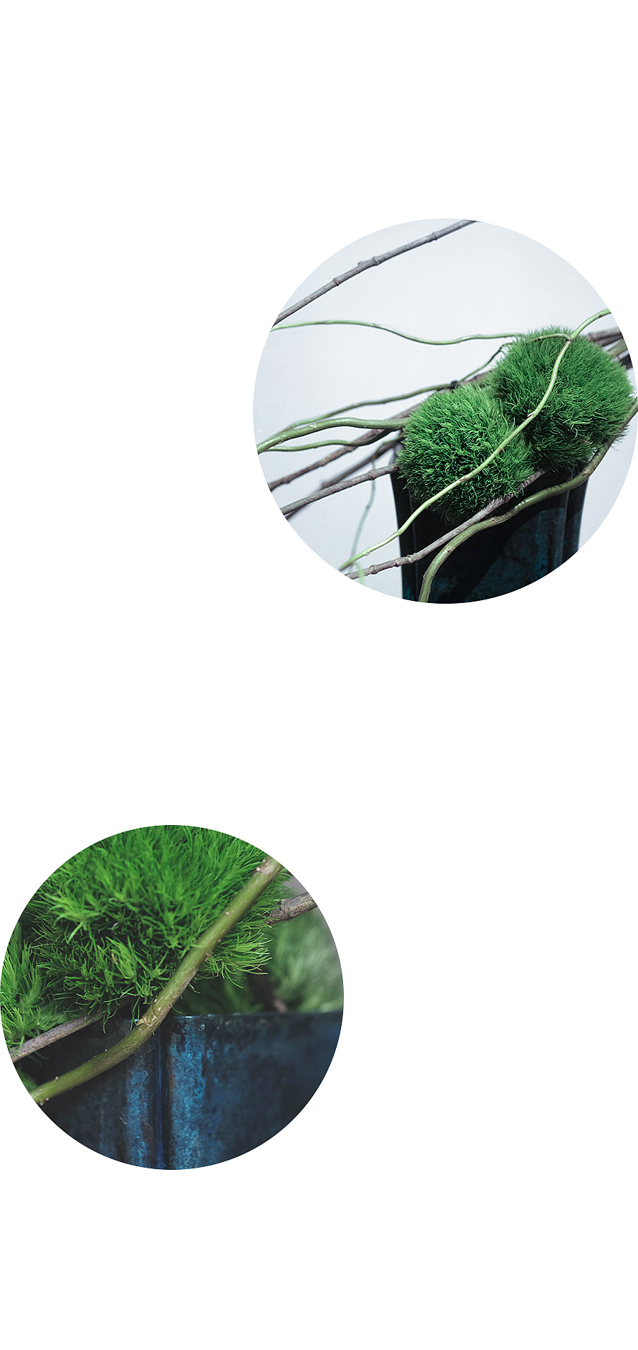 五玄土 || 花器《若兰》