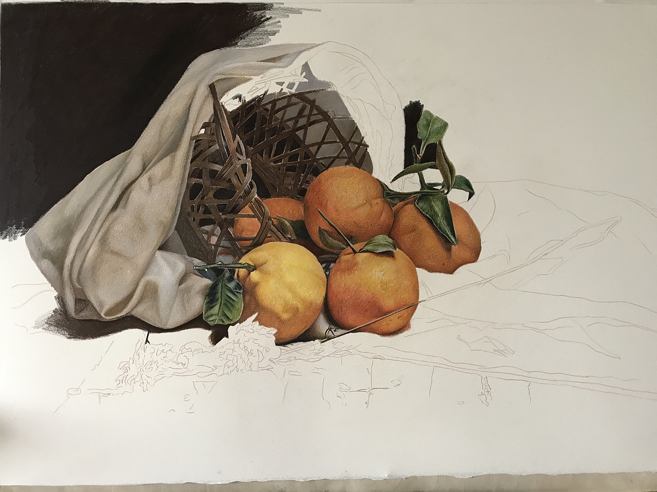 彩铅静物系列之-丑橘、霹雳马偏写实风格(内附过程)