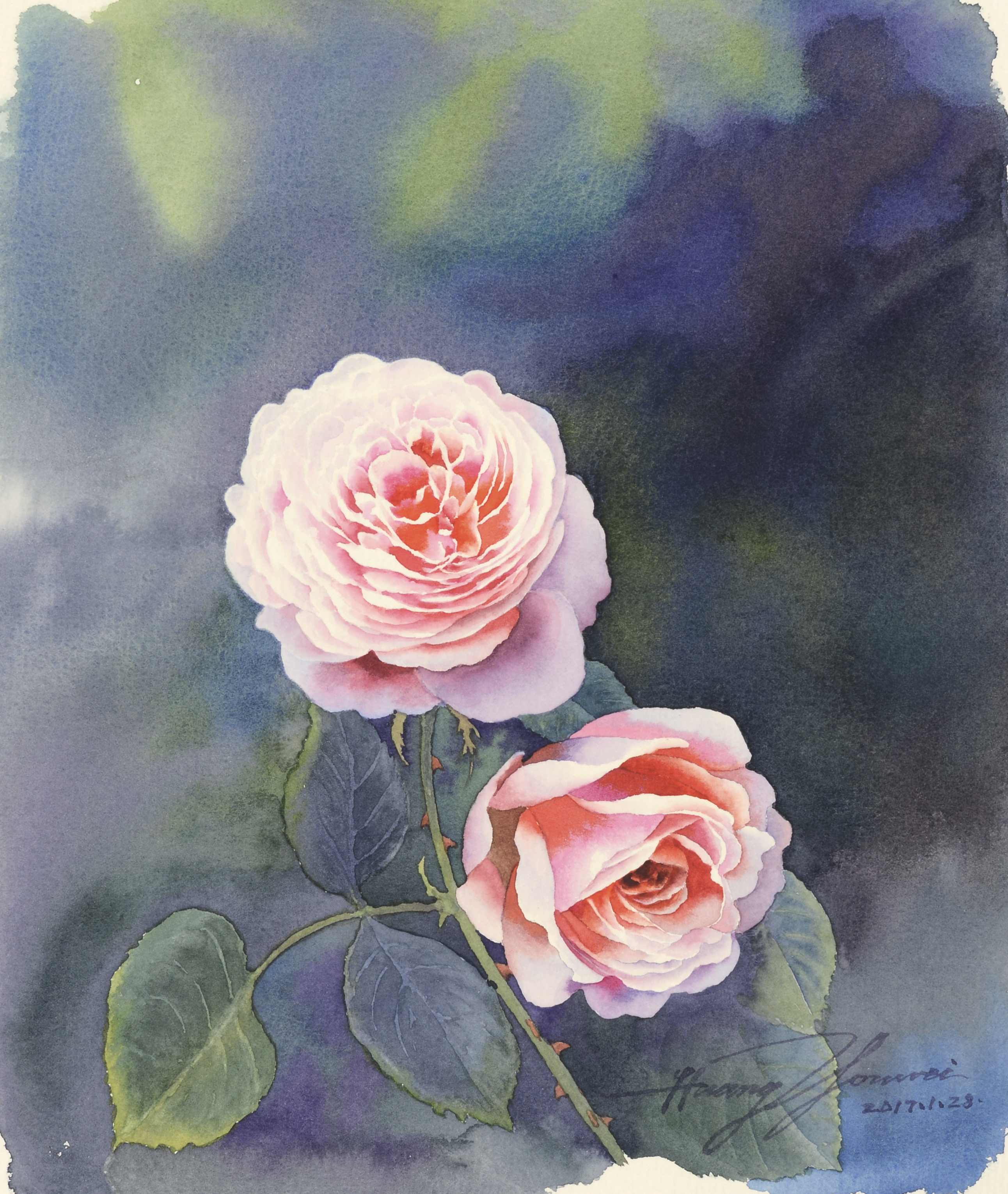 花花世界(水彩玫瑰花)|纯艺术|绘画|黄有维水彩 - 原创作品 - 站酷