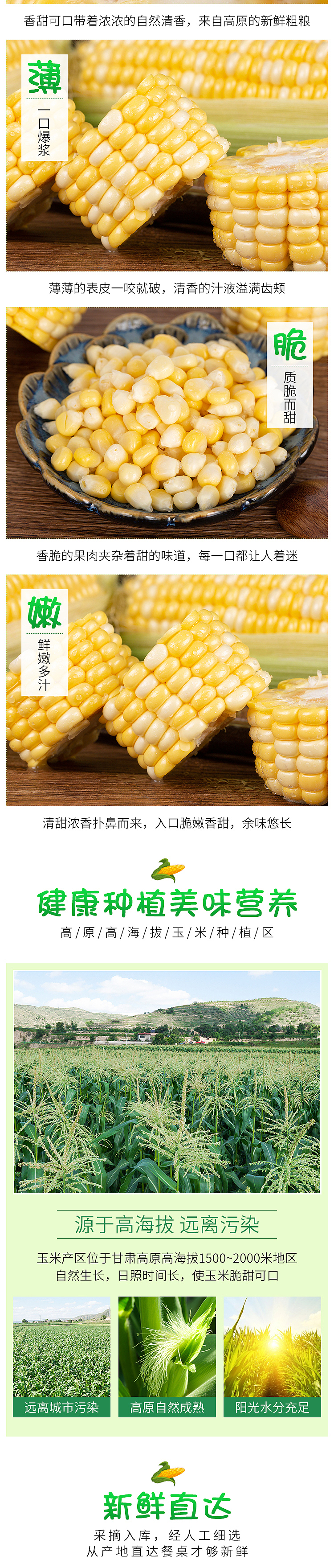 水果玉米详情页（图ZMjIzMjU3OTg0） - 电商 - 站酷设计师麦卡琪电商原创素材 - 站酷ZCOOL