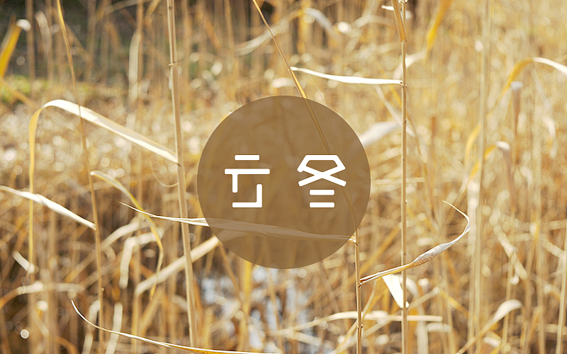 一日一词,久必有得(十月&十一月汇)