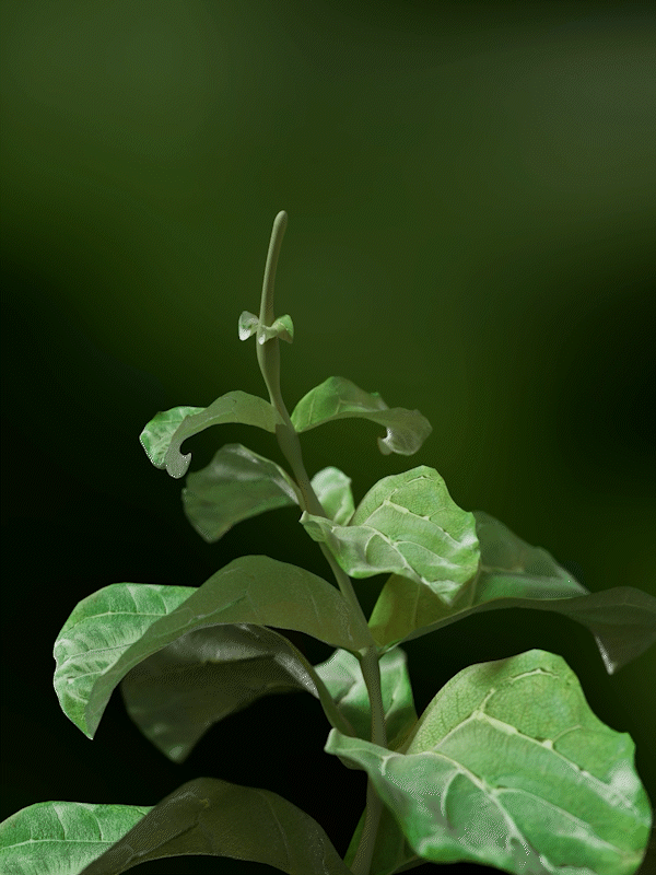 Excerpts Work 2022年工作动态作品整理。