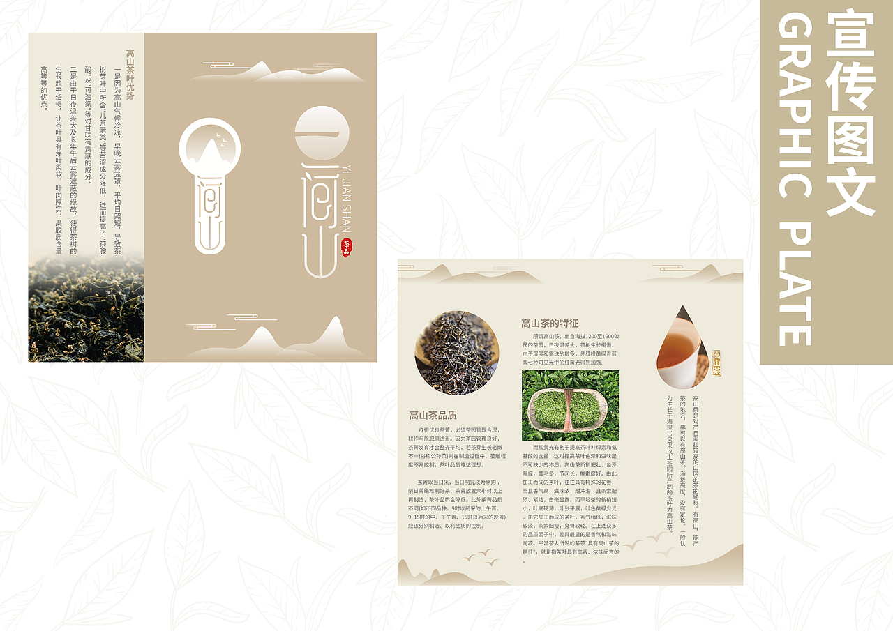 一间山茶叶包装设计