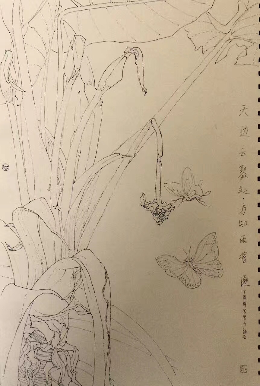 植物写生（图ZMTM1OTA5MTAw） - 绘画 - 站酷设计师ixixeh原创素材 - 站酷ZCOOL