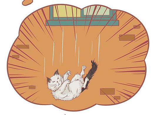 猫友聊天日常--Orange&#39;s cat