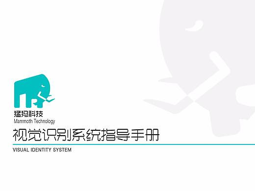 大学的一套VI设计手册