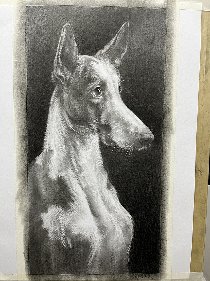 画了一条不知道叫什么的狗！（图ZMzM2NDcwMTY4） - 绘画 - 站酷设计师唐老师的素描课堂原创素材 - 站酷ZCOOL