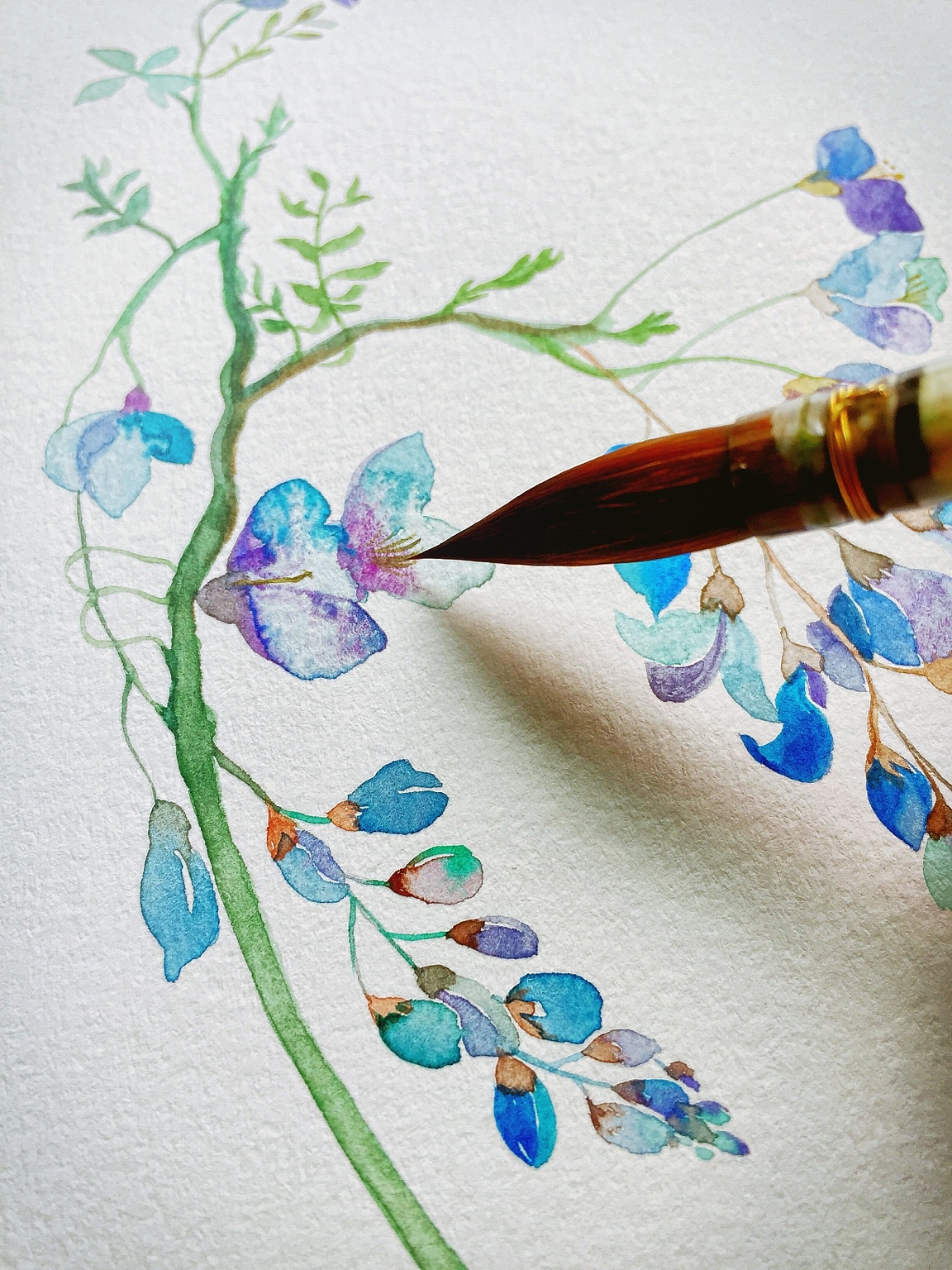 水彩031【风铃草】