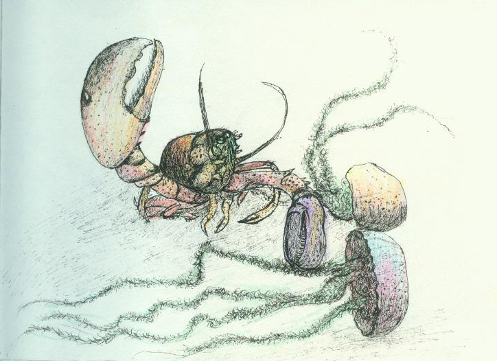 二维动画分镜头 手绘