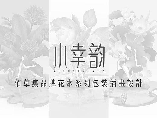 花本系列面膜包装插画设计