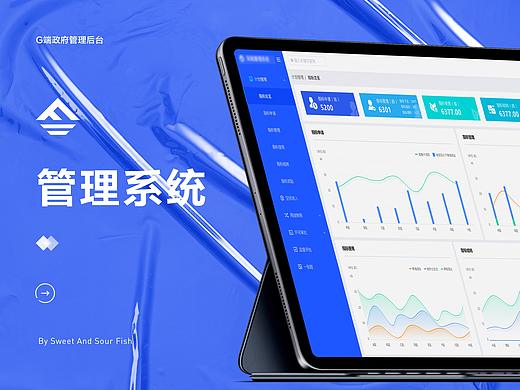B端（G端）后台管理系统