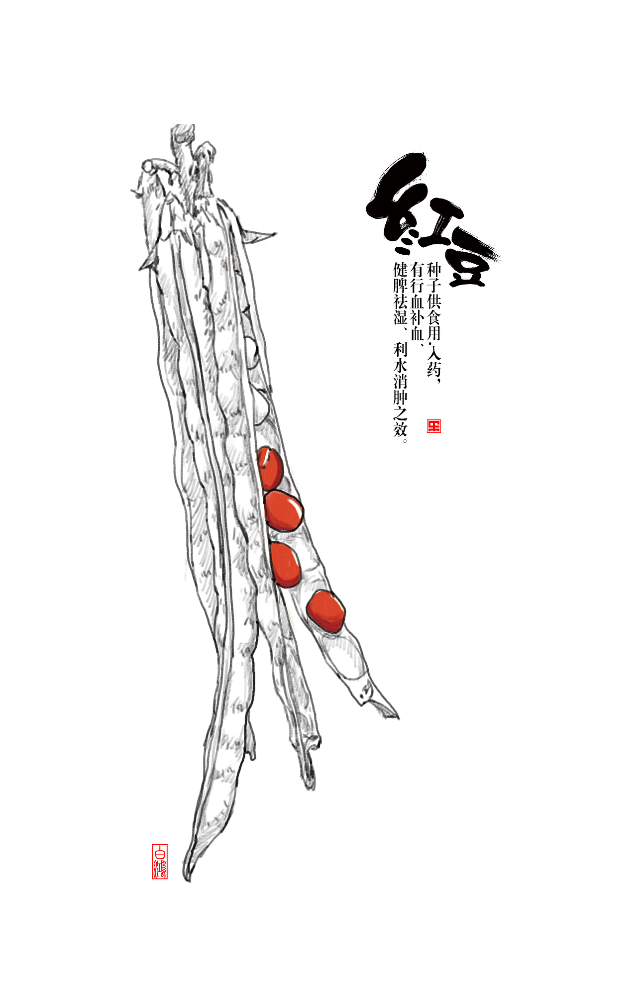 红豆薏米粉包装 字体 插画（图ZOTA3MDExMDA=） - 字体/字形 - 站酷设计师白鸿原创素材 - 站酷ZCOOL