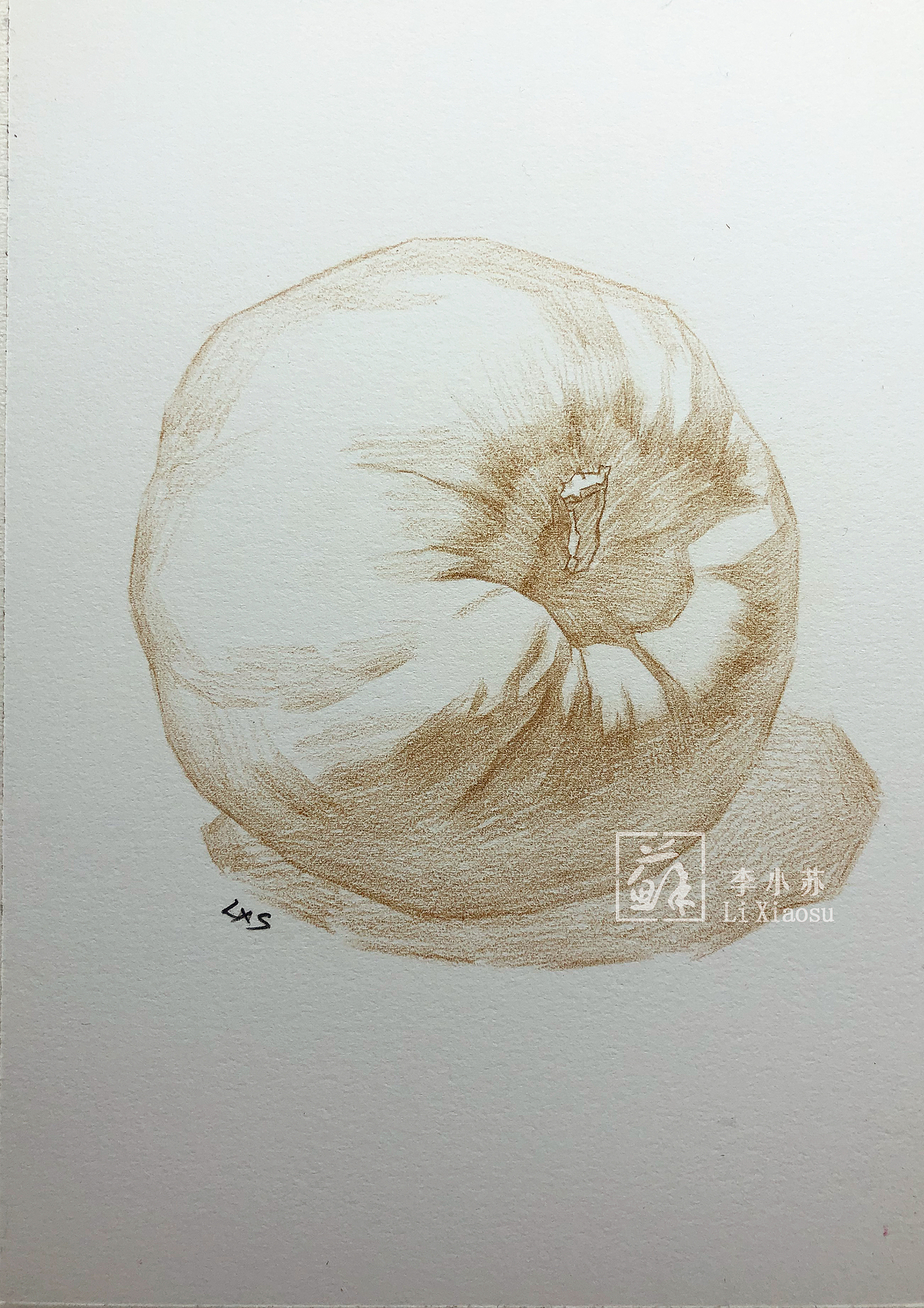 —彩铅水果苹果
