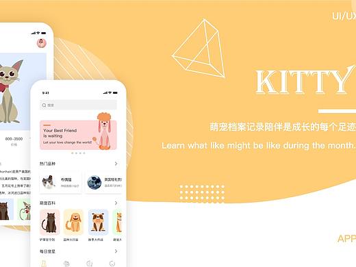 KITTY宠物APP总结