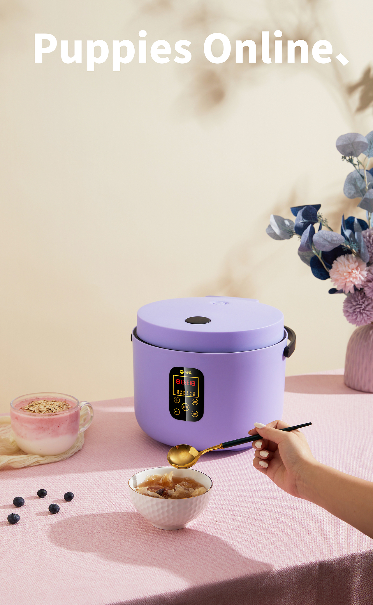 Puppies Online、电饭煲（图ZMjYzMDc1NjY4） - 产品摄影 - 站酷设计师中山小狗摄影设计原创素材 - 站酷ZCOOL