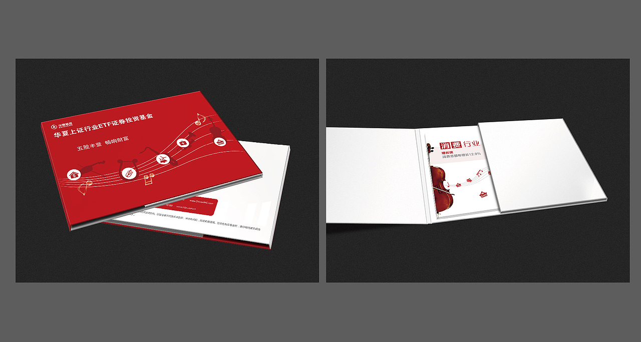 2011-2013年 金融 IT行业作品