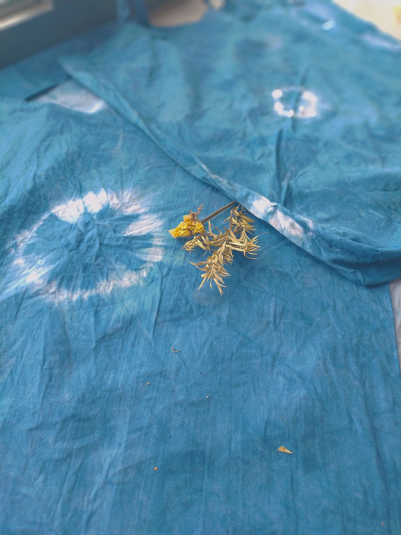 夏日里的一抹蓝