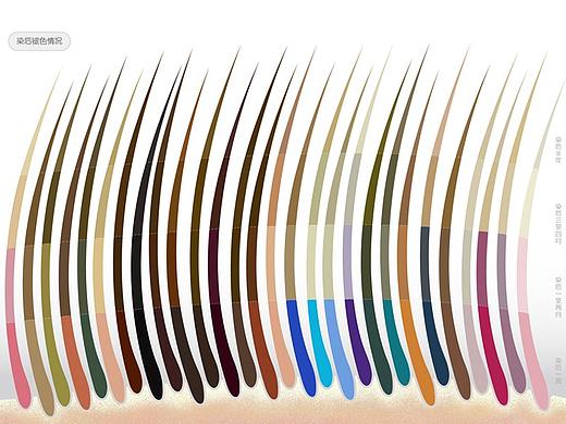 他们的染发选择信息可视化设计（国内人群）