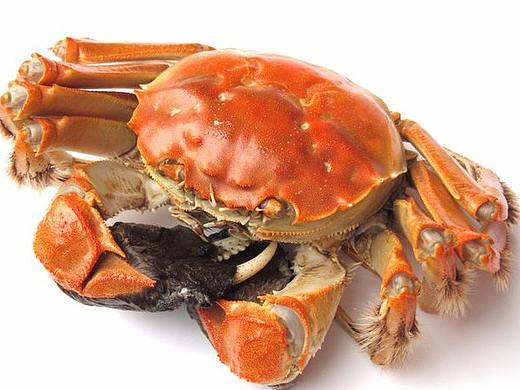 海鮮代金券（個(gè)人主頁(yè)-ZMjQ0MTE0Njg=） - 宣傳物料 - 站酷設(shè)計(jì)師Zhang0607原創(chuàng)素材 - 站酷ZCOOL