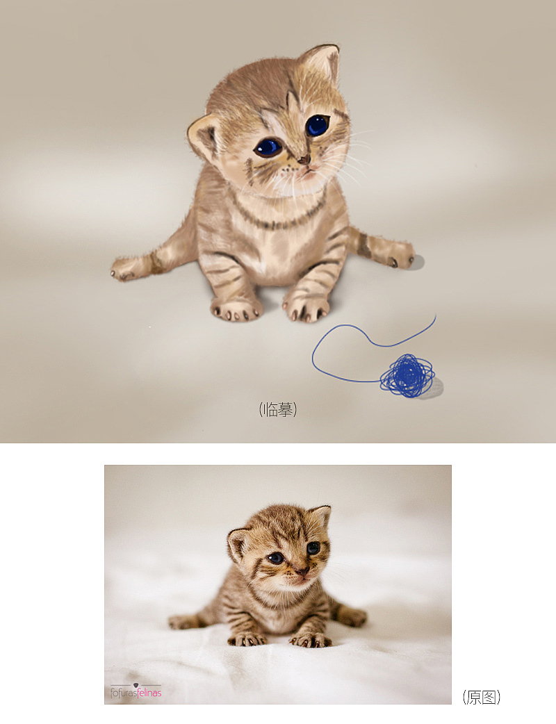 临摹集合（图ZMjAzMTcxNzM2） - 创作习作 - 站酷设计师清水照星河原创素材 - 站酷ZCOOL