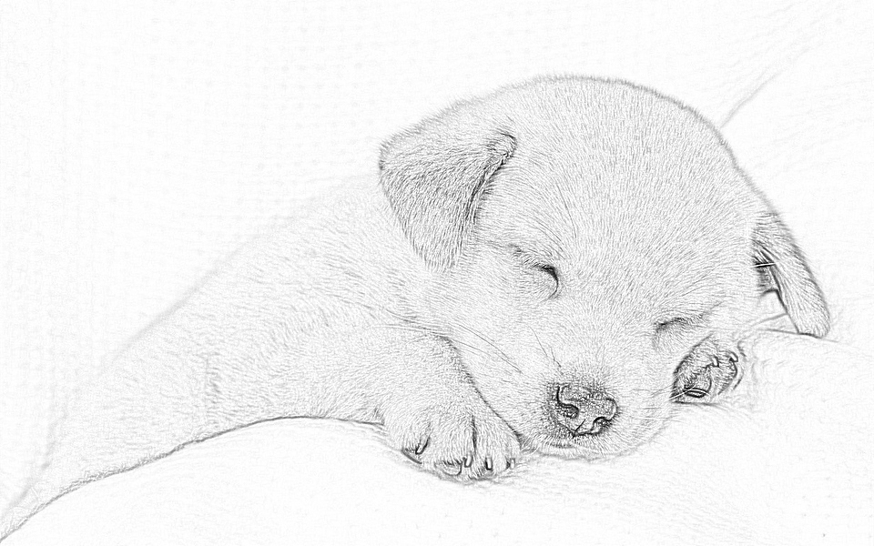 PS素描效果（图ZMTQ4NzA2ODY4） - 艺术插画 - 站酷设计师M北的城原创素材 - 站酷ZCOOL