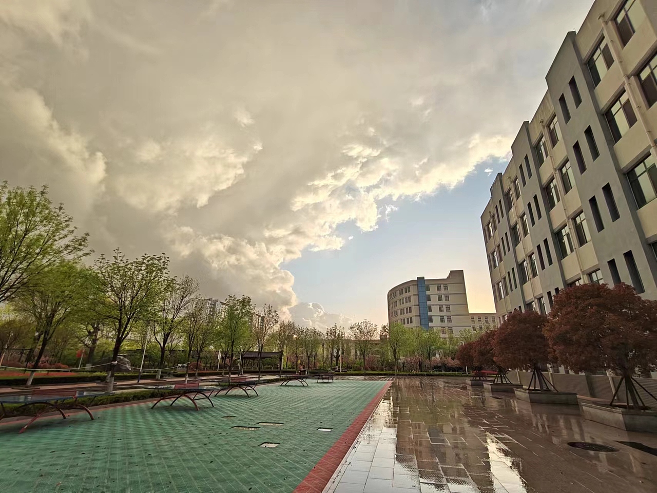 校园雨后的风景