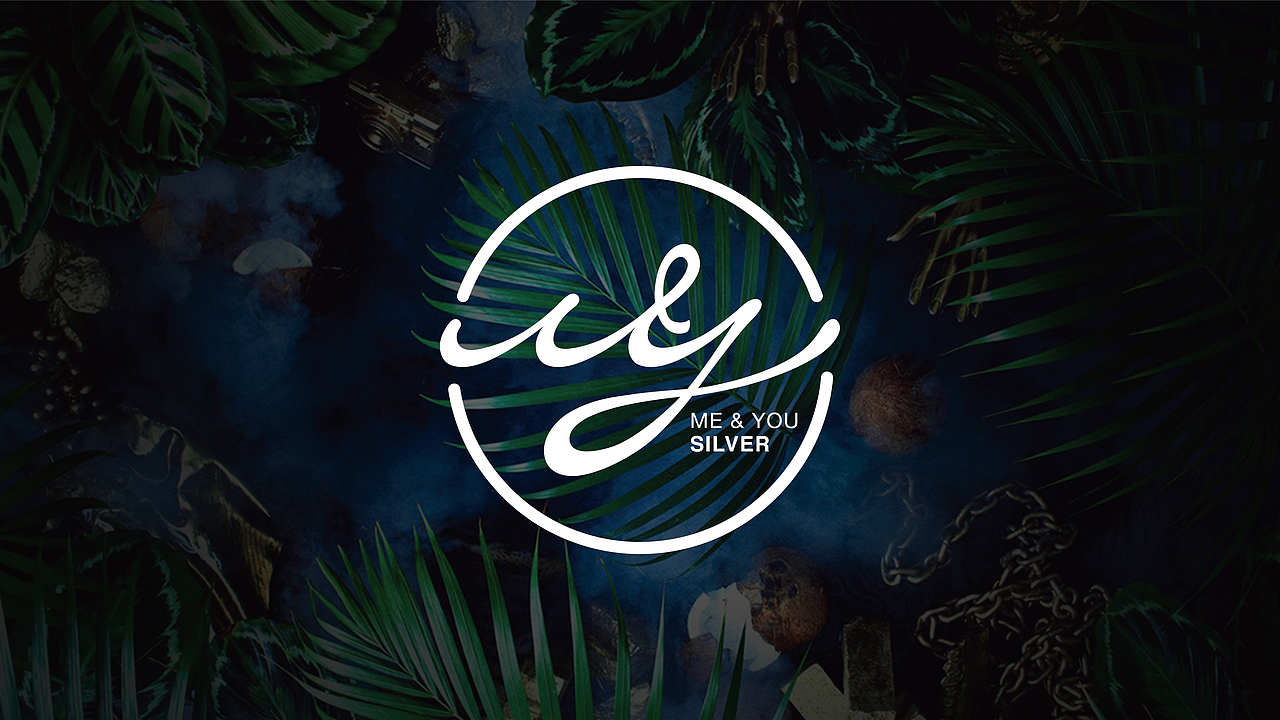 M&Y SILVER（图ZOTQzNTk5ODA=） - Logo - 站酷设计师h6666原创素材 - 站酷ZCOOL