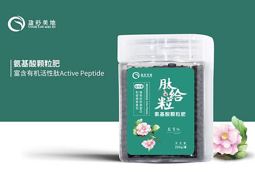 标签——瓶贴
