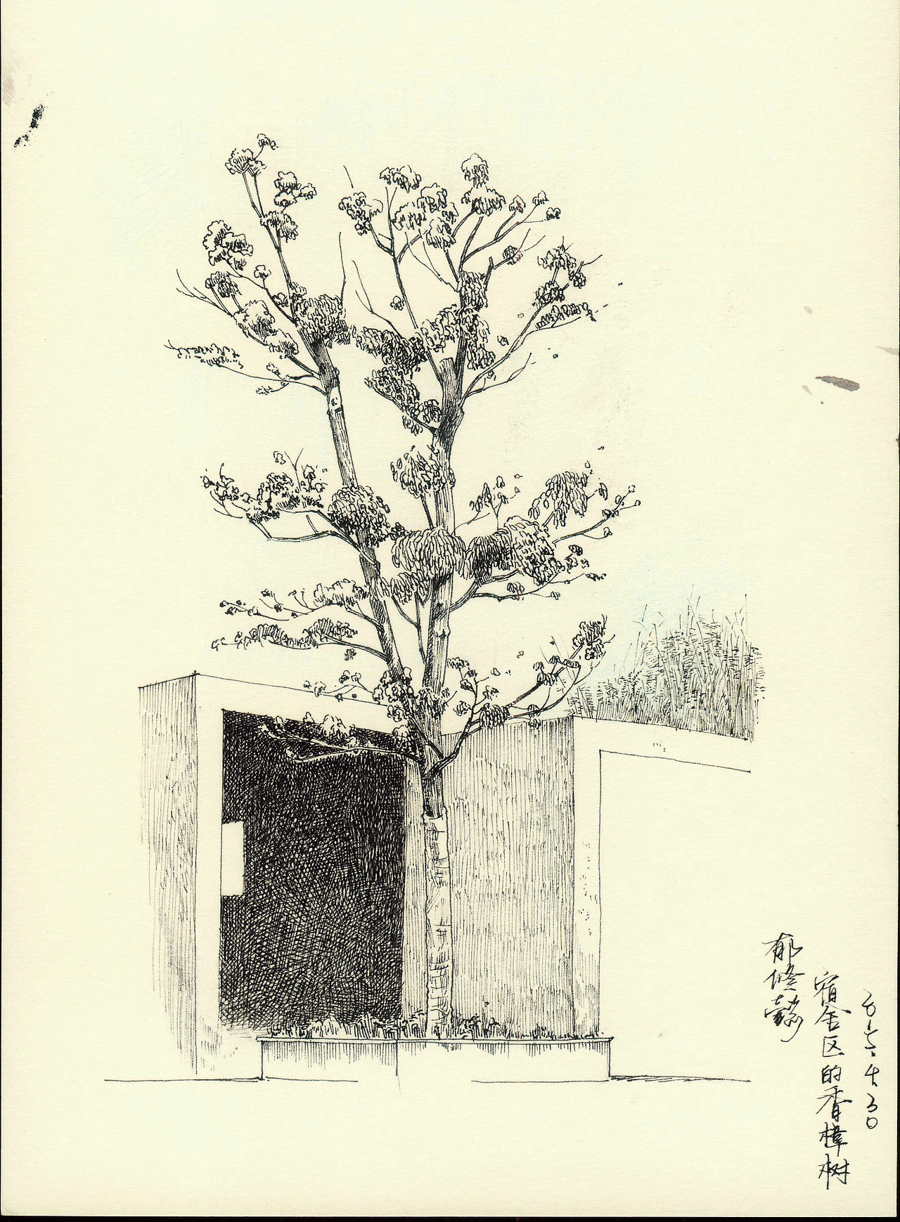 中国美术学院校园写生