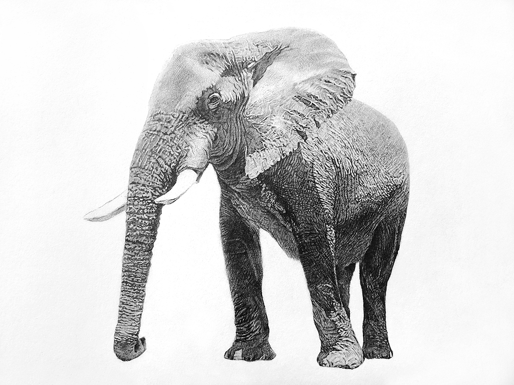 象（图ZMjI4MzM1Mzgw） - 绘画 - 站酷设计师猪犟狗软原创素材 - 站酷ZCOOL