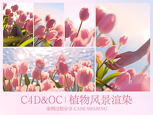 浪漫郁金香 | C4D植物风景渲染