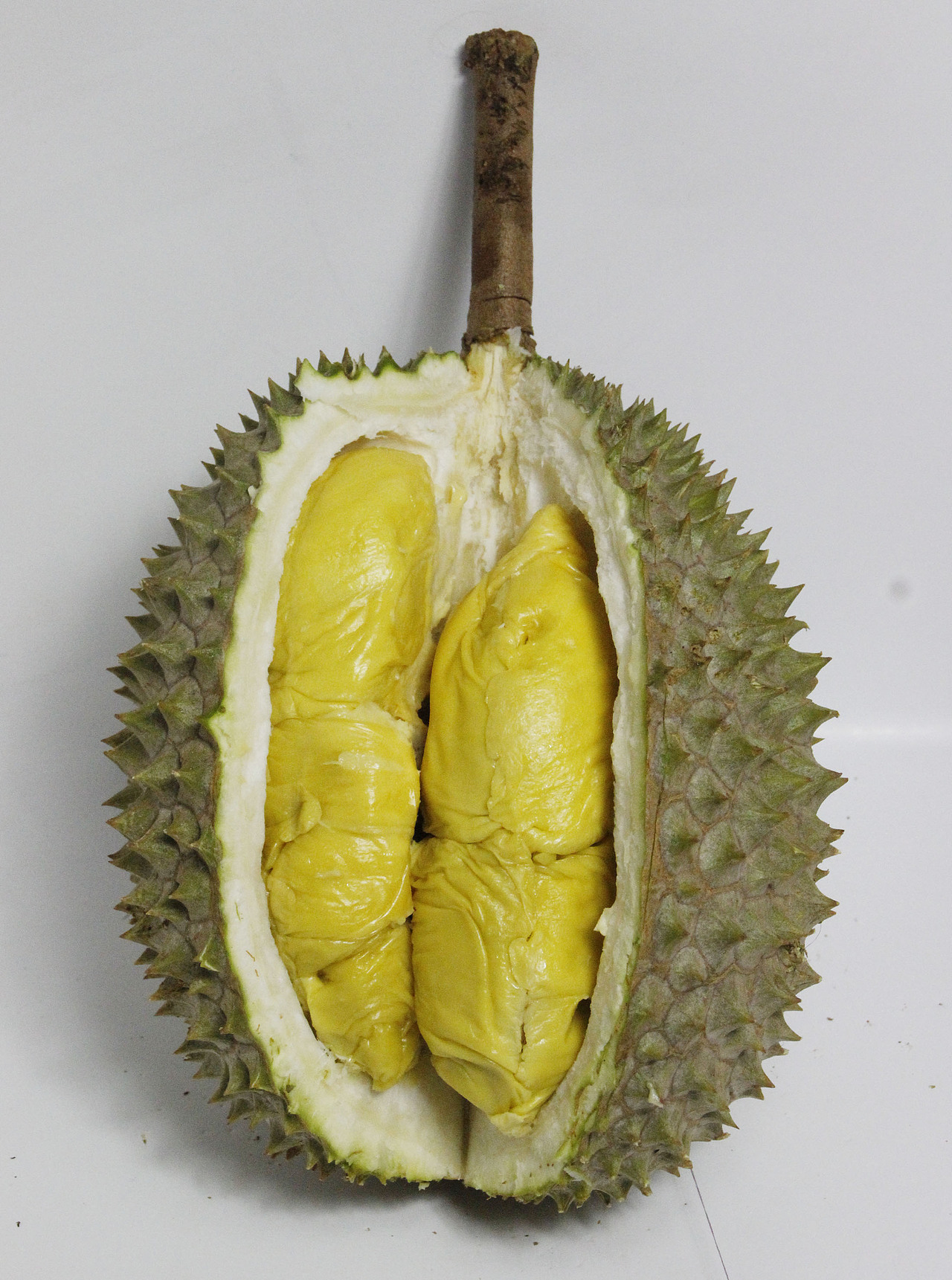 手绘榴莲包装设计