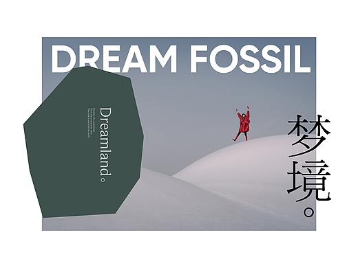 梦的化石 LOGO 设计