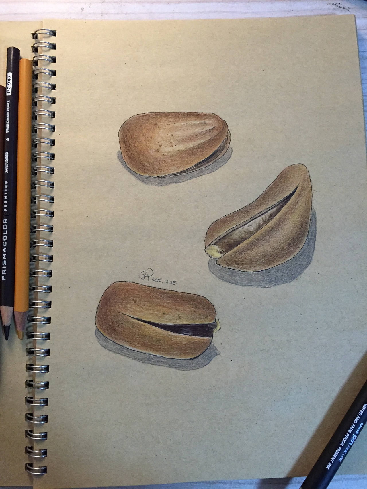 彩铅画三颗松子