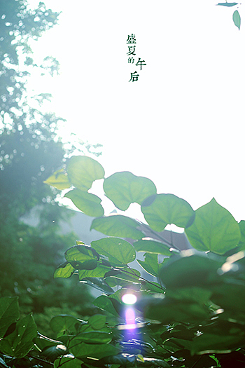 我只是一个人停停走走。