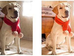 講師-小豆子人像修圖 精修 攝影后期