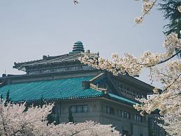 江城花事2023