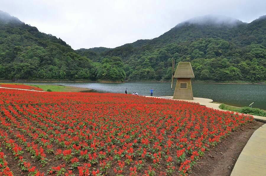 【摄影】从化石门山森林公园（图ZMjc4OTU0MzI=） - 风光摄影 - 站酷设计师来一碗红豆粥原创素材 - 站酷ZCOOL