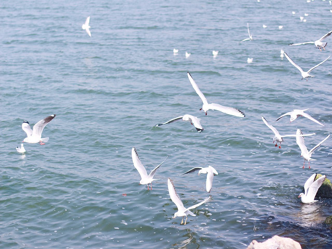 如果爱太荒凉,我陪你梦一场