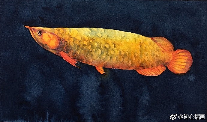 这一生,除了画水彩,别无所求。